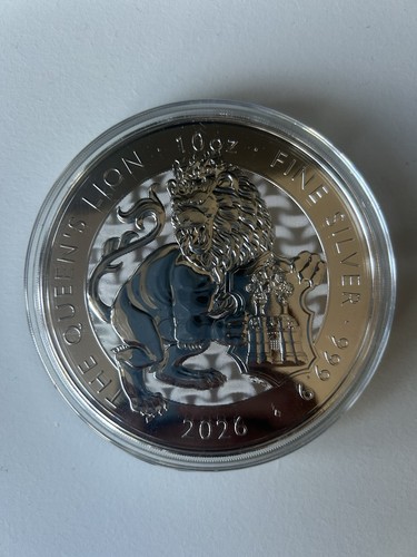 10oz silver 9999 bullion - silver,