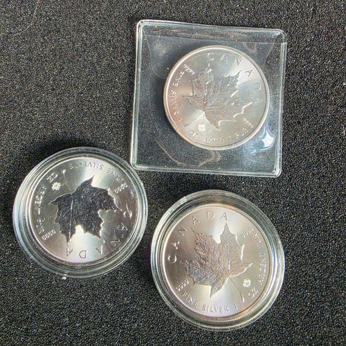 Canadian silver maple - canadian,