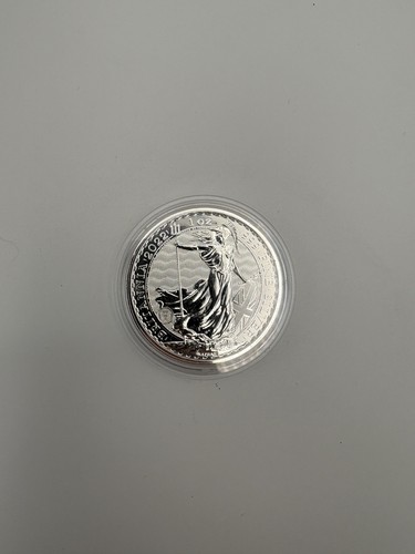 1oz silver britannia coin - silver,