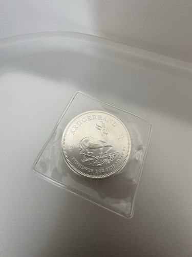 2025 south african silver - african,