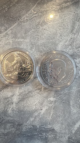 2026 1oz silver - 2026,
