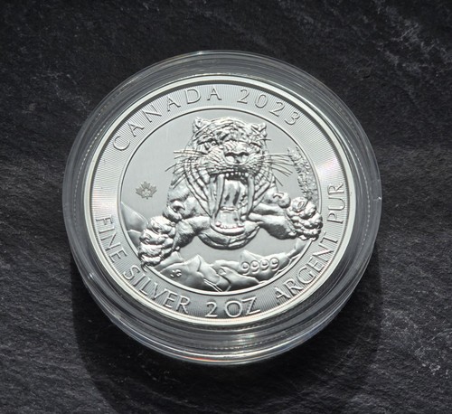 2023 canadian sabre tooth - sabre,