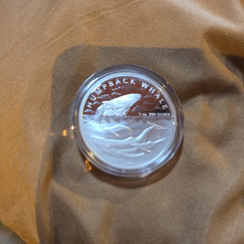 2023 humpback whale one ounce - humpback,