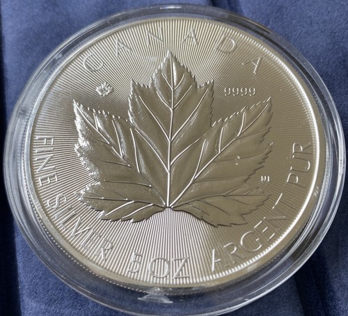 2026 canadian maple - canadian, oz