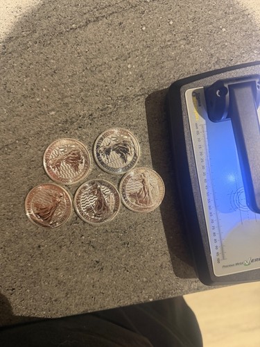 Royal mint britannia 2021 x - ,