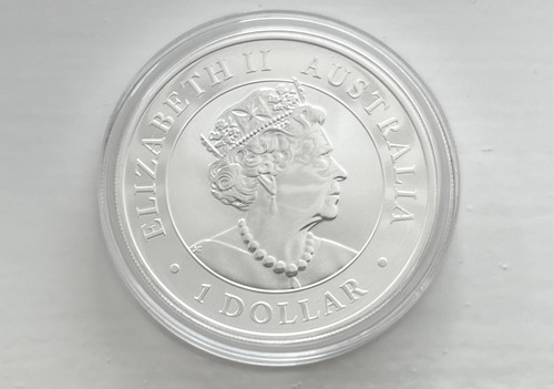 Kookaburra silver coin - silver, 2023