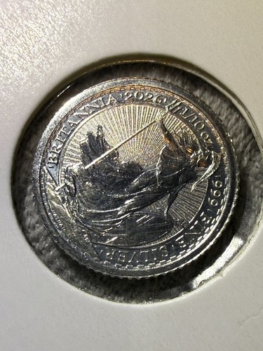 2026 10oz solid - 2026,